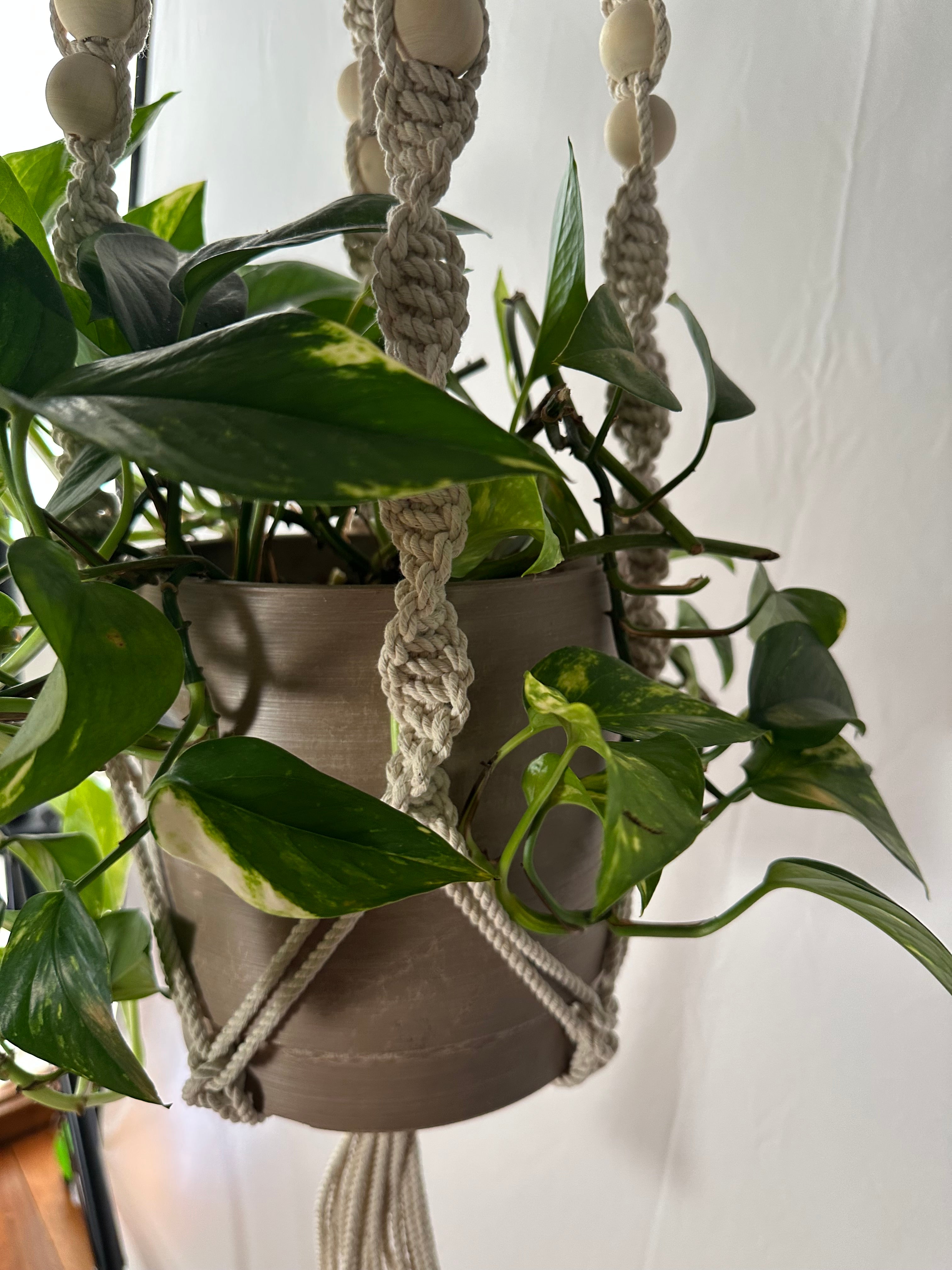 144cm Neutral Twisted Macrame Plant Hanger