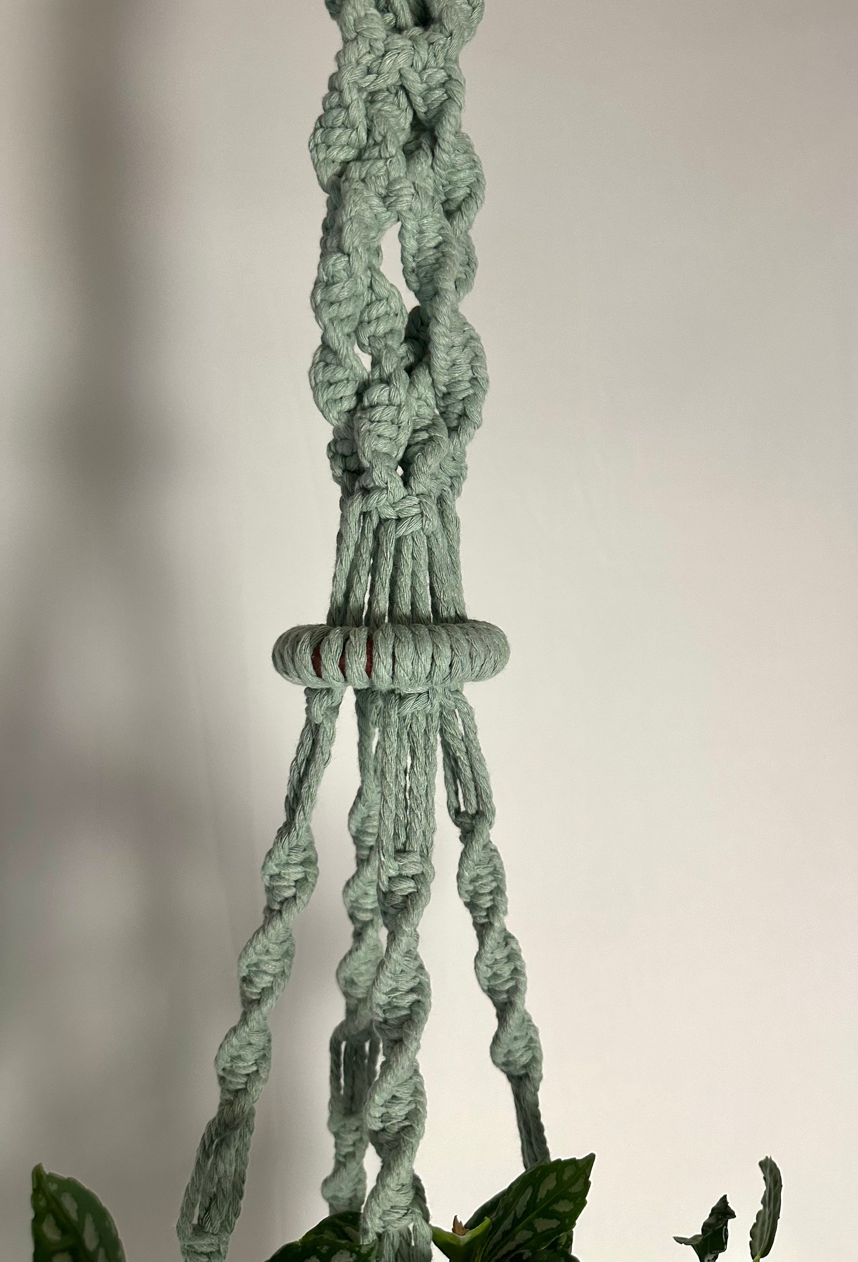 104cm Sage Macrame Plant Hanger