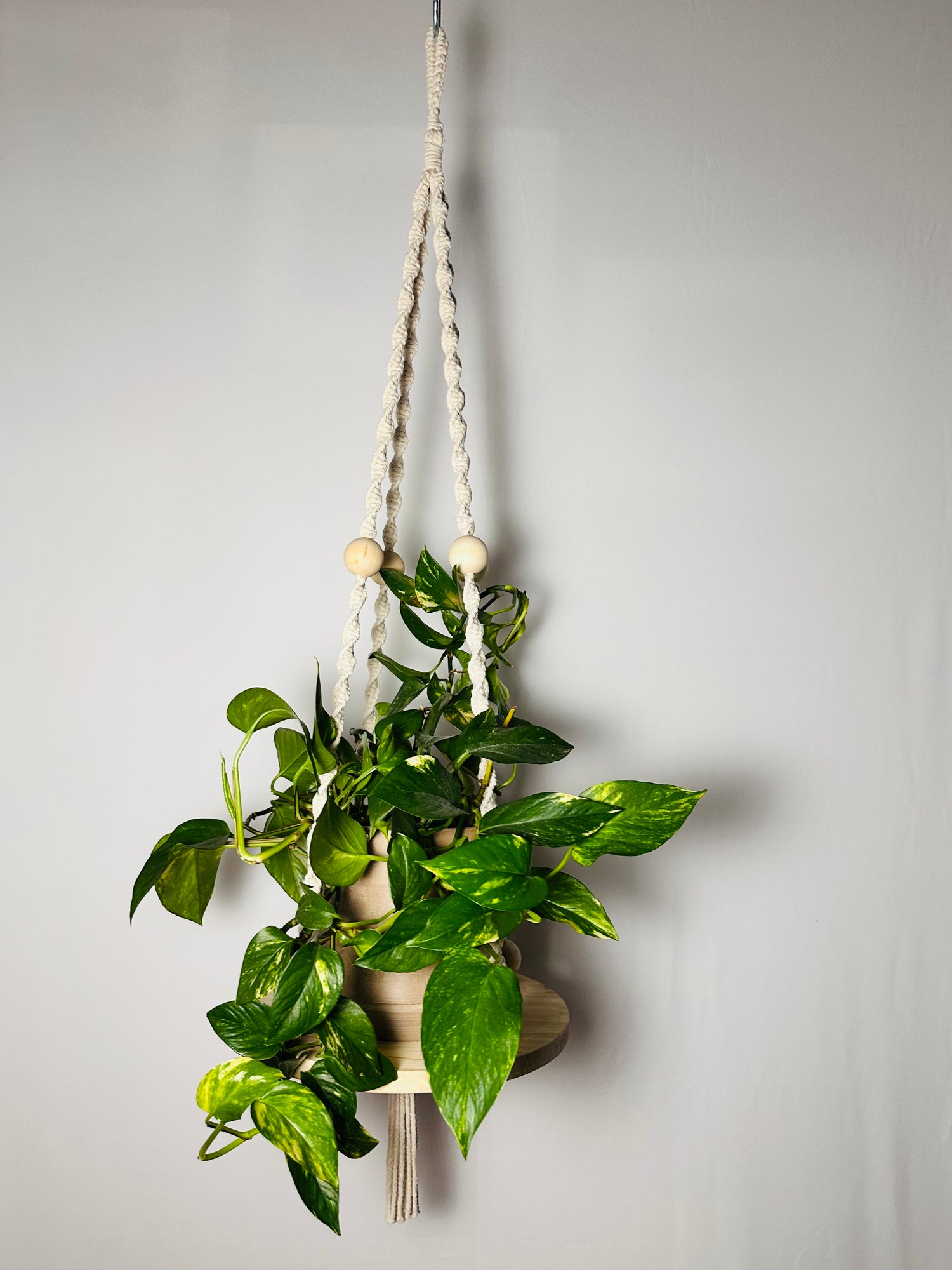 120cm Neutral Macrame Plant Hanger