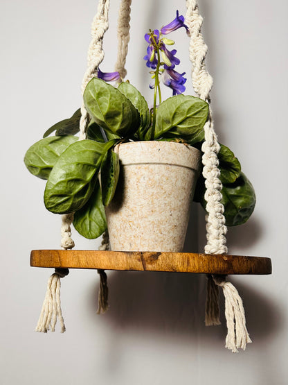 115cm Macrame Hanger