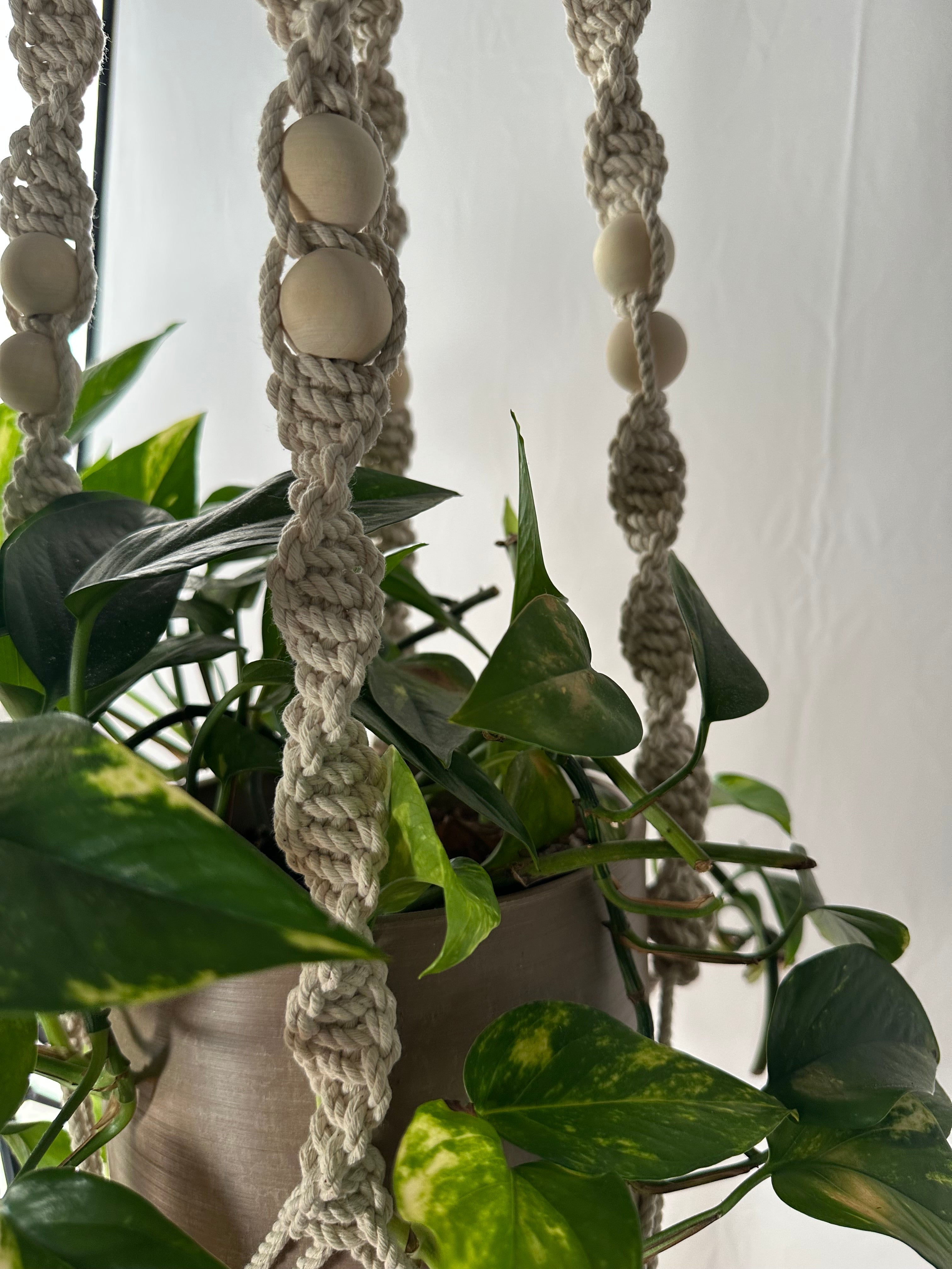 144cm Neutral Twisted Macrame Plant Hanger