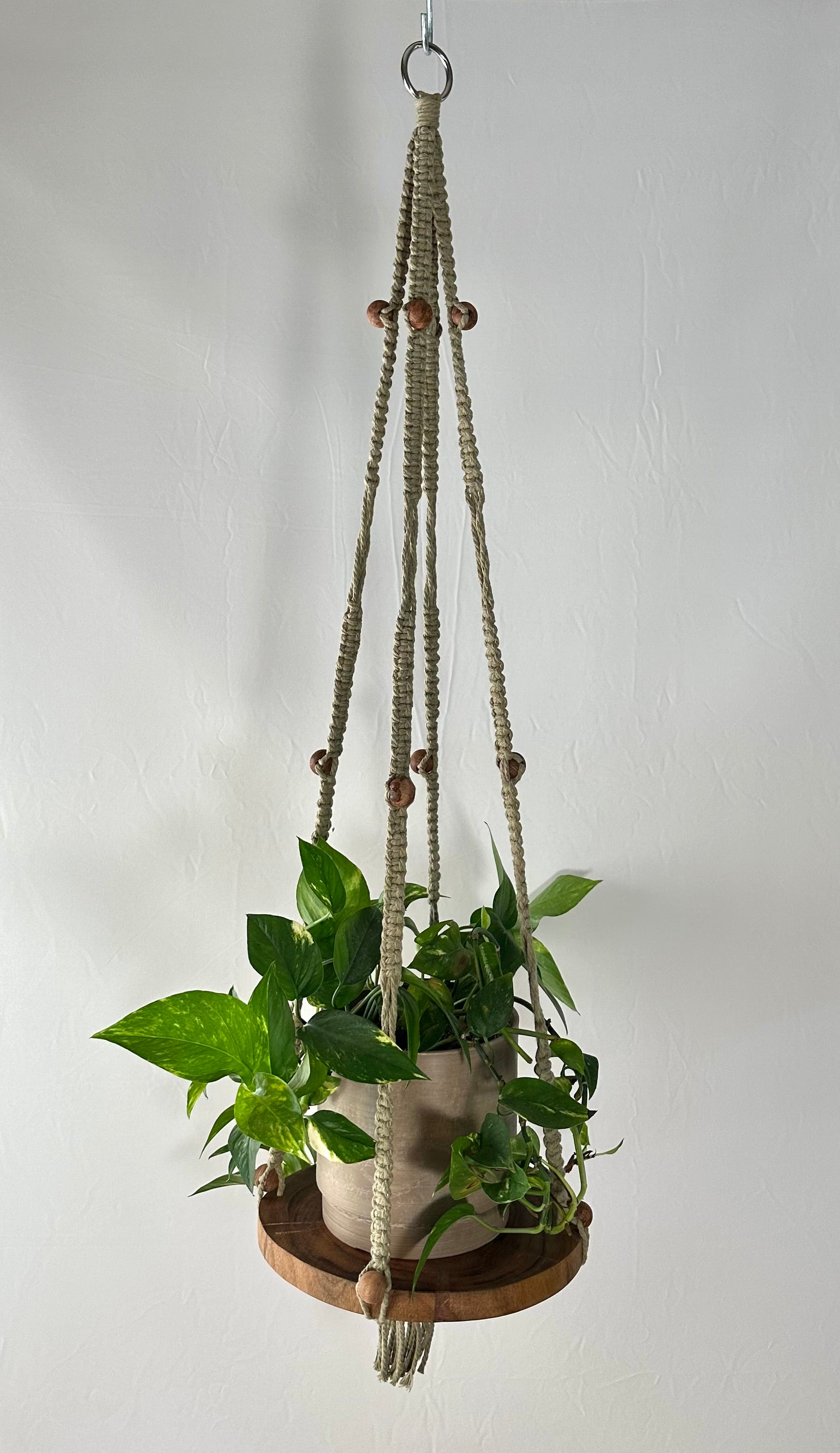 121cm Olive Macrame Hanger with a Timber Base