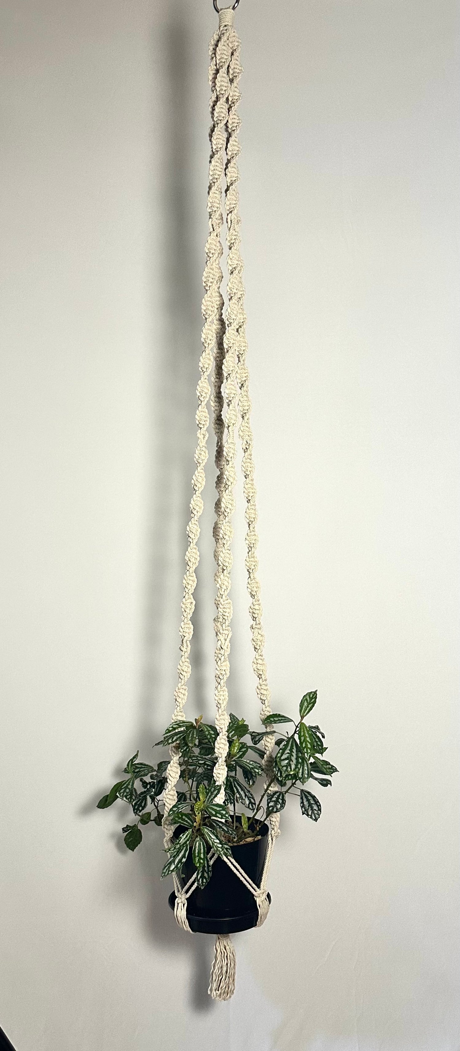 180cm Neutral Macrame Plant Hanger