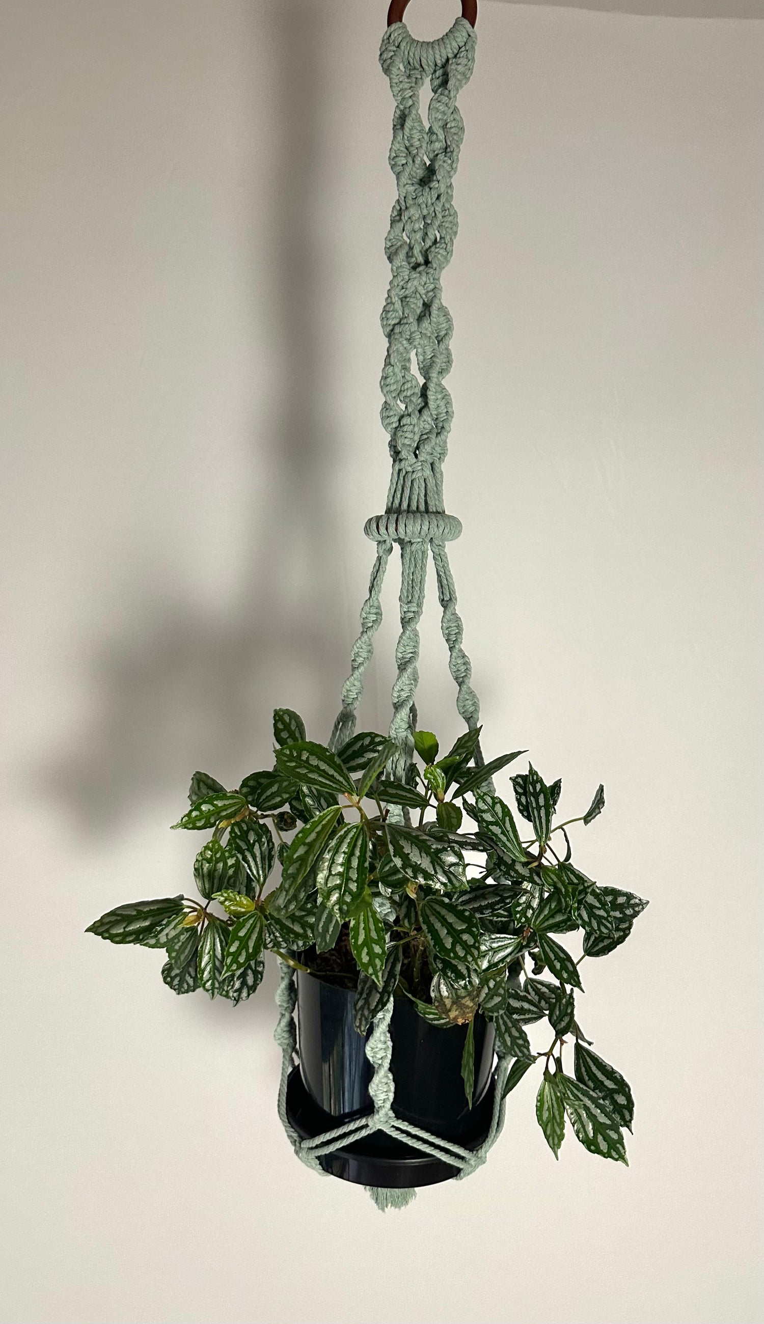104cm Sage Macrame Plant Hanger