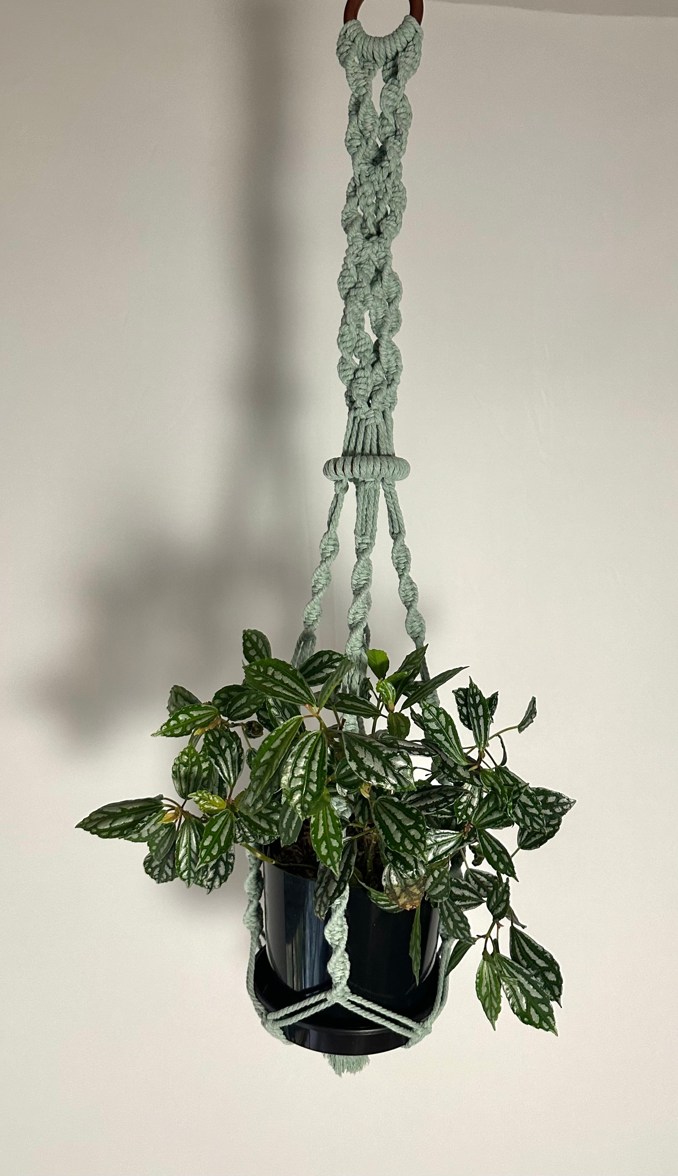 104cm Sage Macrame Plant Hanger