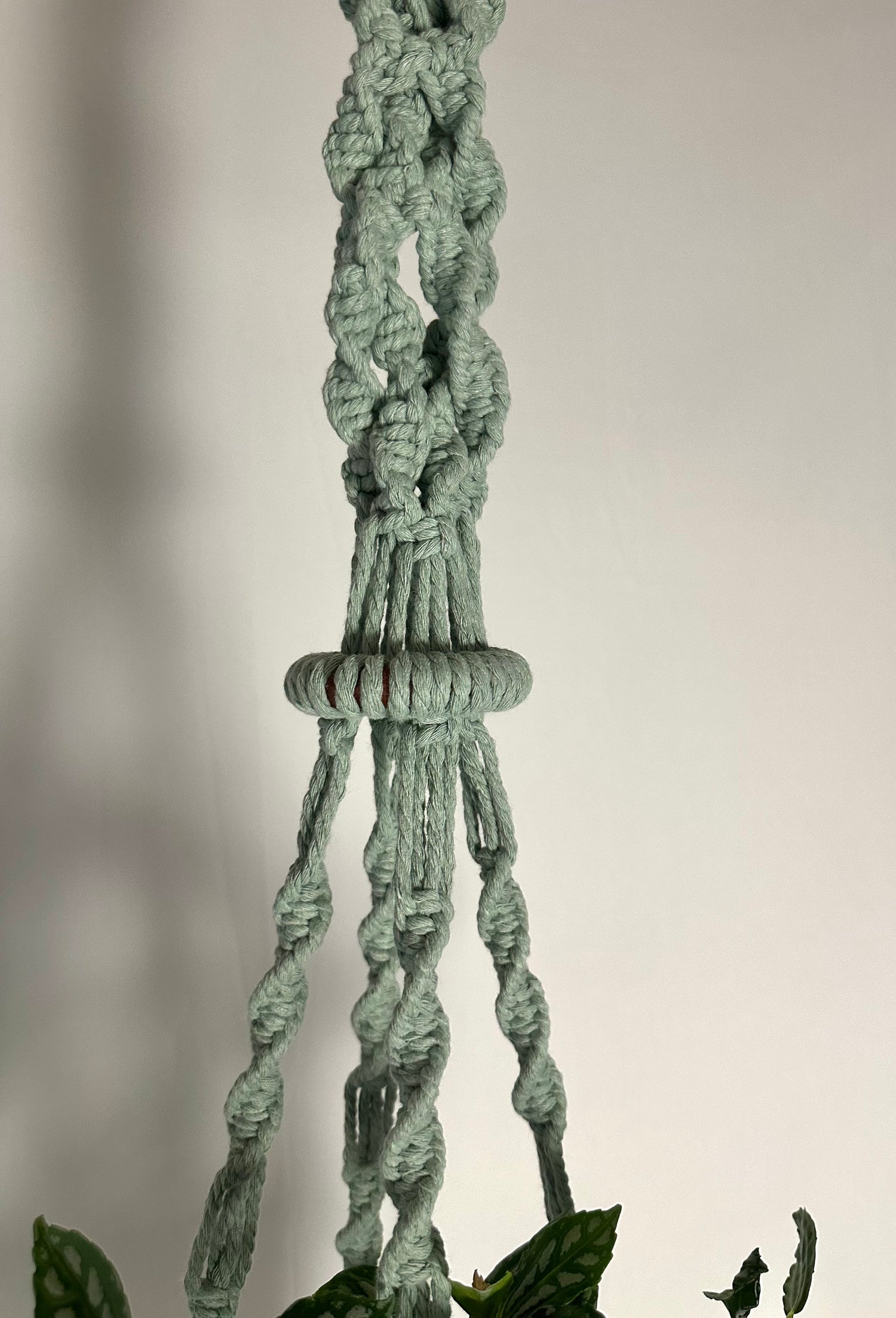 104cm Sage Macrame Plant Hanger
