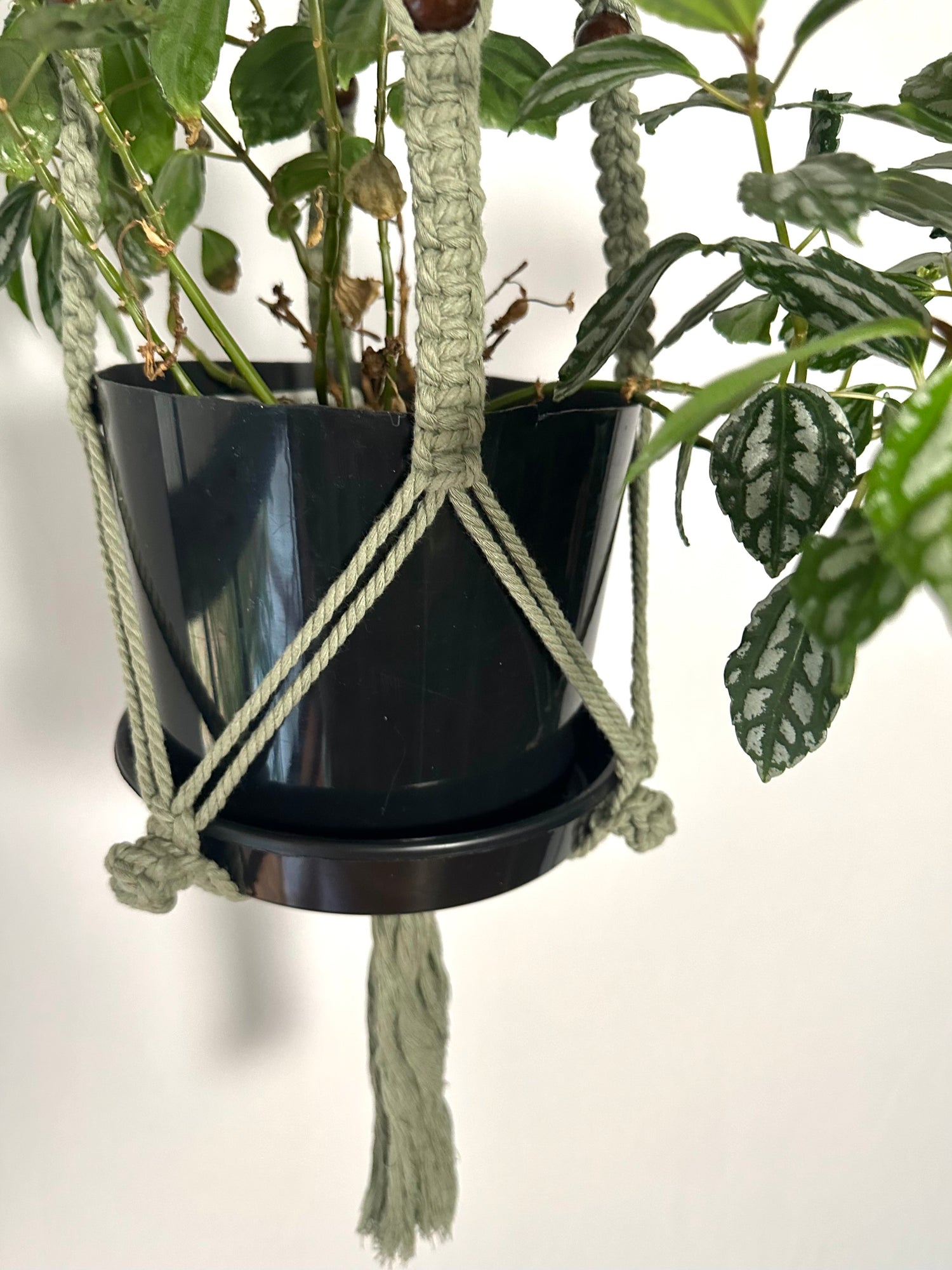 127cm Olive Beaded Macrame Plant Hanger