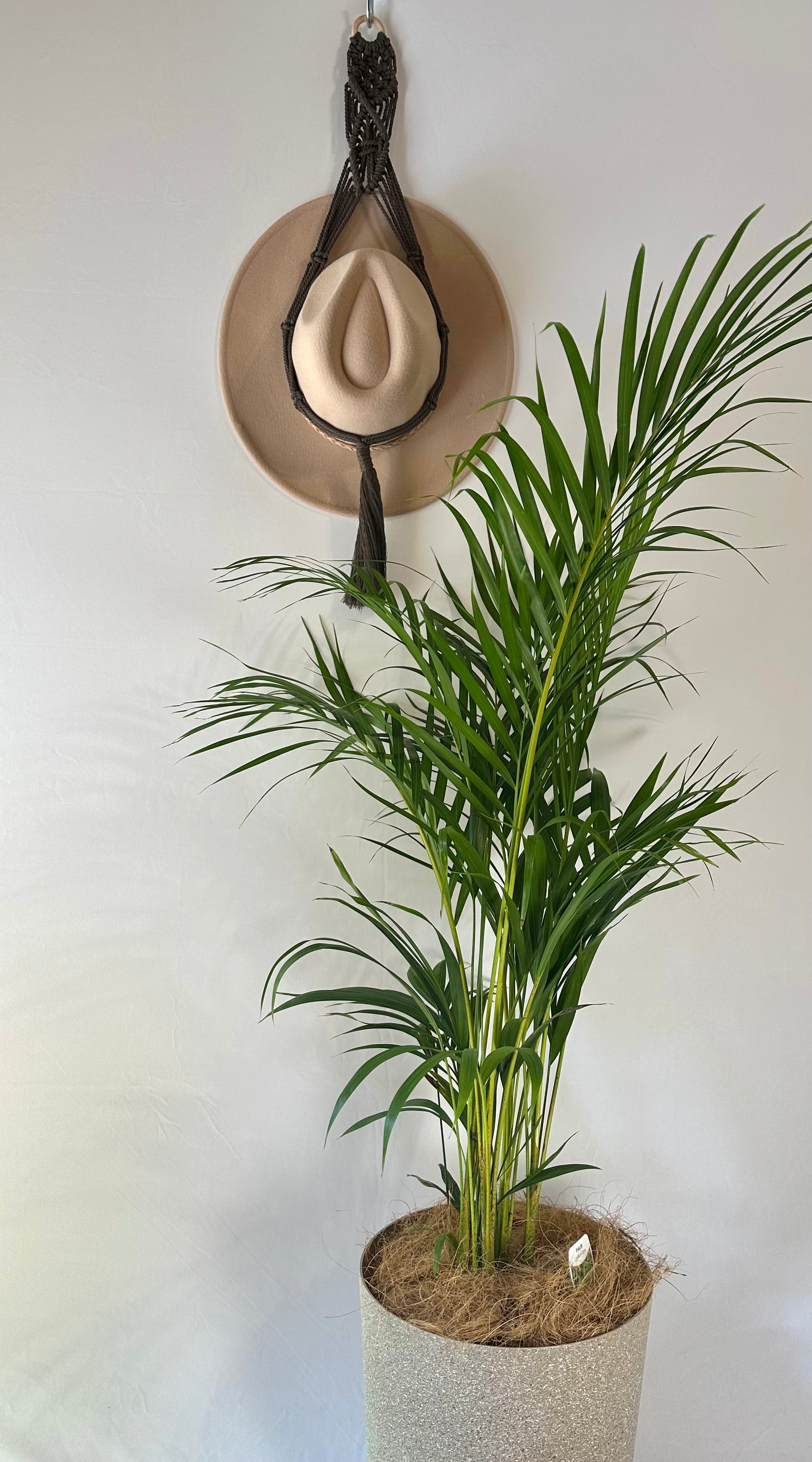 Single 72cm Macrame Hat Holder